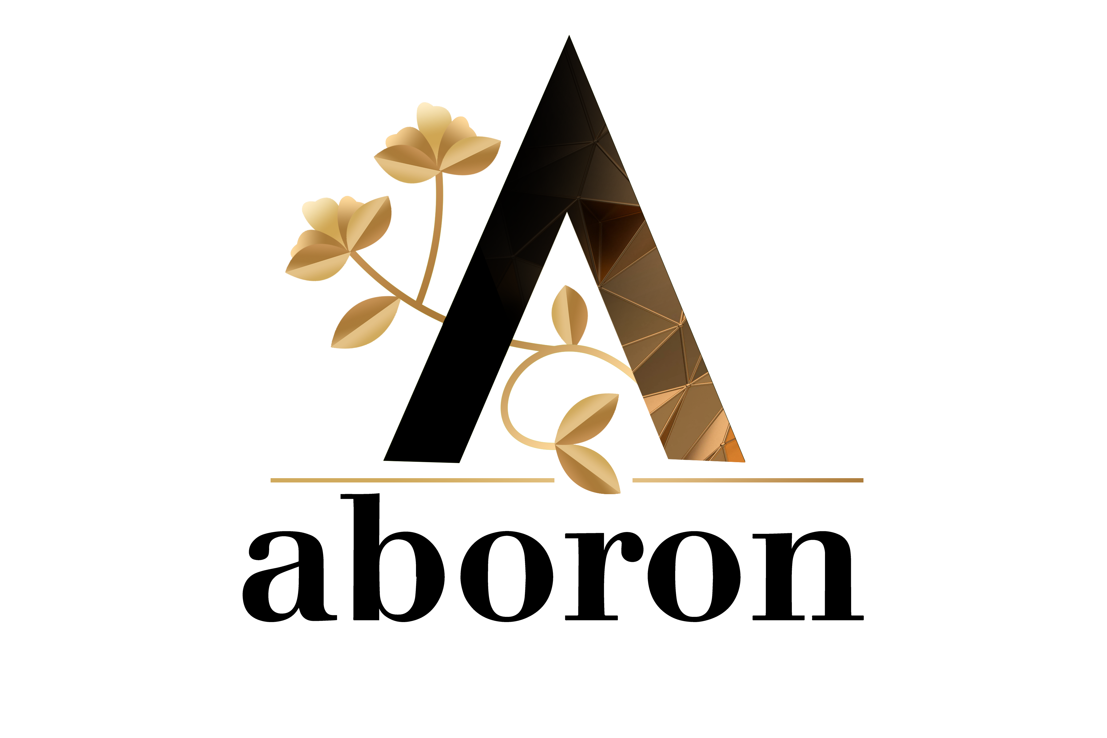 Aboron Logo